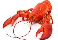 Lobster - Омар - запомнить слово. Визуализация.